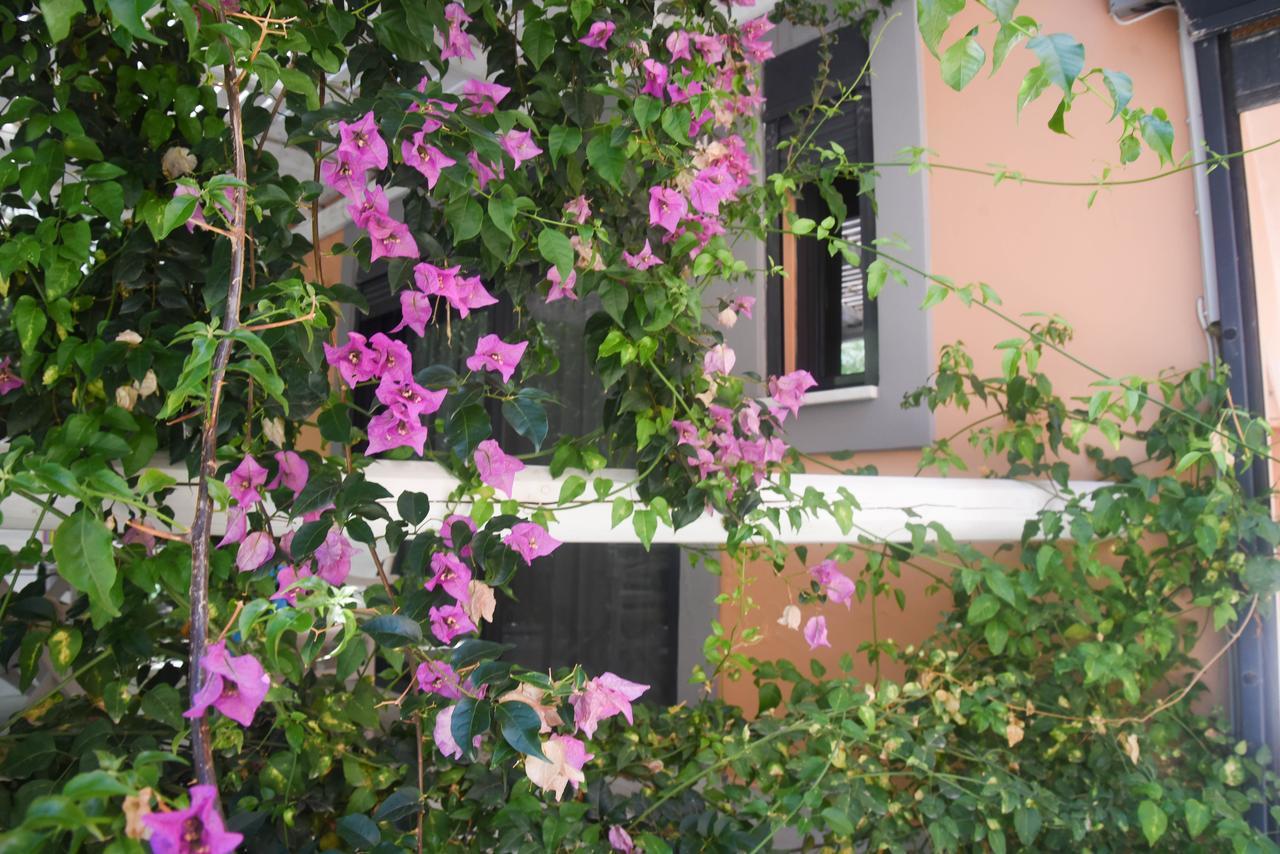 Alissachni Luxury Apartments Dherveni Exteriör bild